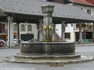 La Fontaine Place du Vieux Tilleul