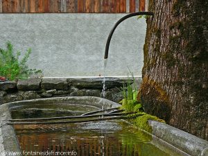 L'Arbre Fontaine