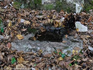 Bassin recevant l'eau de la source