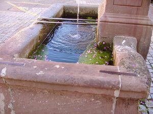 La Fontaine rue Neuve ou Becksbeckele