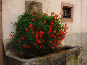 La Fontaine Roescheneck