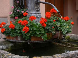 La Fontaine rue des Vignerons