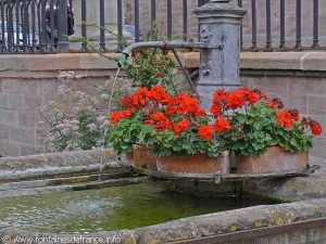La Fontaine rue du Maire Witzig