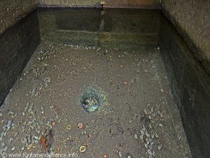 La Fontaine N-D des Vertus