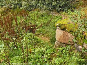 La Fontaine Médiévale