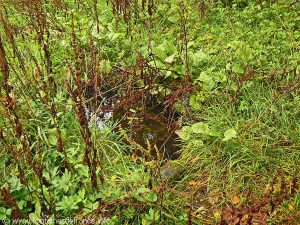 La Fontaine Médiévale