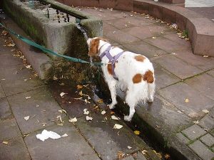 La Fontaine Marie Hart