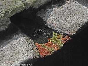 La Source et le Lavoir