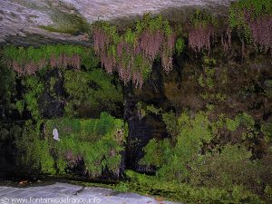 La Fontaine des Grottes St-Antoine