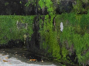 La Fontaine des Grottes St-Antoine