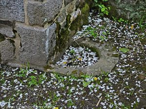 La Fontaine St-Lunaire