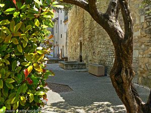 La Fontaine Place M.Mauron