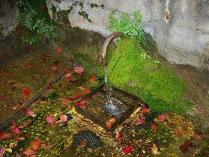 La Fontaine de la Roche