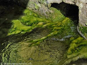 La Fontaine des Fontenettes