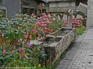 La Fontaine Place de la Mairie