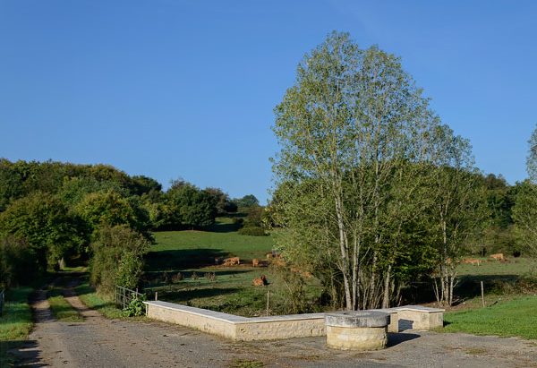 La Fontaine Saint-Junien