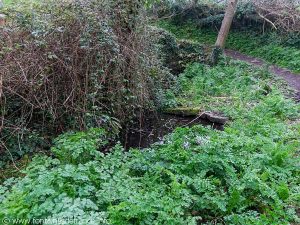 La Fontaine St-Maudez