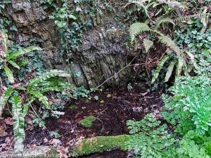 La Fontaine St-Maudez