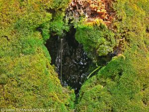 La Fontaine de l'Ancien Moulin