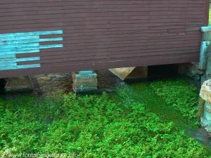 Les Fontaines de Lusserayy