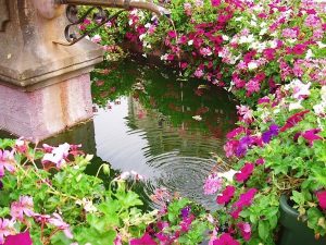 La Fontaine Stockbrunna