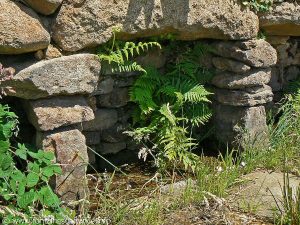 La Fontaine-abreuvoir de Létrade