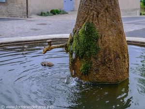 La Fontaine des Aniers