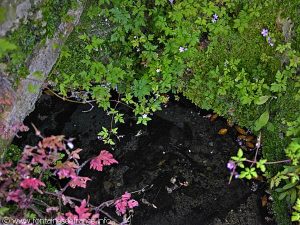 La Fontaine du Lavoir des Langottières