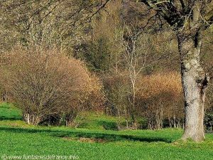 La Fontaine de la Chapelle St-Ambroise