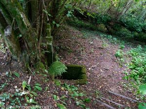 La Fontaine St-Iltud