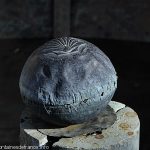 La Fontaine Claustrale