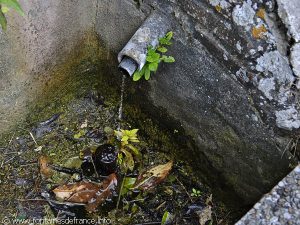 La Fontaine St-Benoît