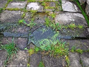 La Fontaine St-Thuriau