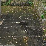 La Fontaine Saint-Jean