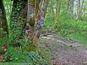La Bonne Fontaine de la Châtaigneraie