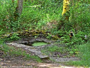 La Bonne Fontaine de la Châtaigneraie