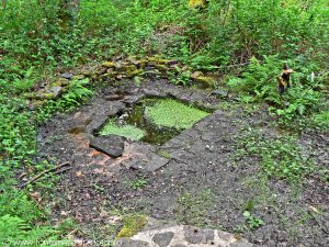 La Bonne Fontaine de la Châtaigneraie