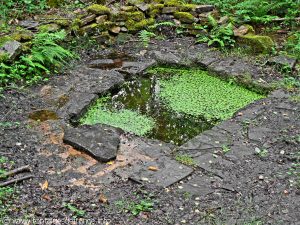 La Bonne Fontaine de la Châtaigneraie