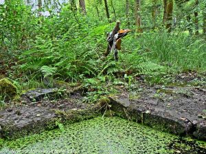 La Bonne Fontaine de la Châtaigneraie