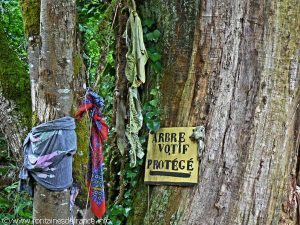La Bonne Fontaine de la Châtaigneraie