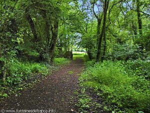 La Fontaine du Puits Croyant