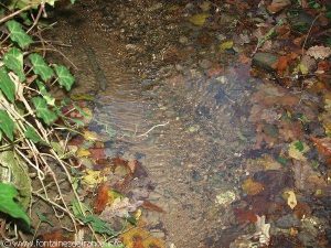 La Fontaine du Roi