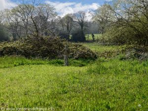 La Fontaine St-André