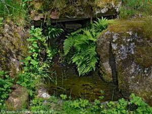 La Fontaine de la Chapelle N-D de la Paix