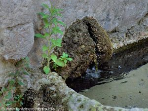 La Fontaine de Viviers