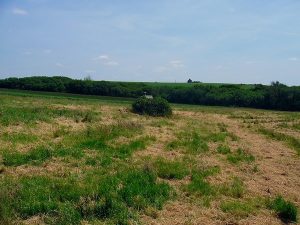 La Fontaine St-Côme et St-Damien