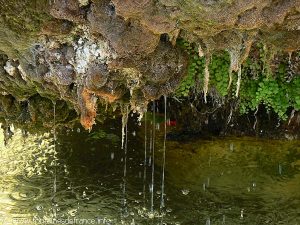 La Fontaine Cours de la Républqiue