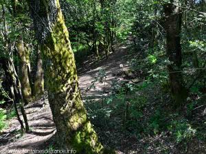 La Fontaine du Buisson