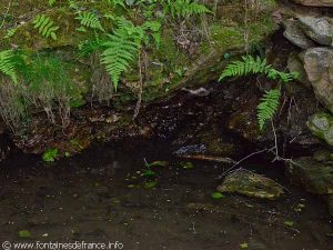 La Fontaine du Buisson