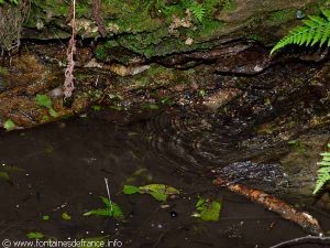 La Fontaine du Buisson